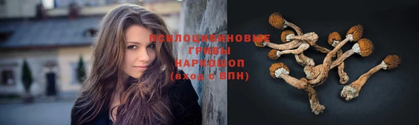 спайс Аркадак