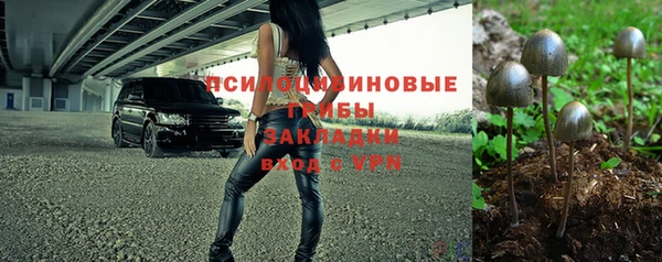 спайс Аркадак
