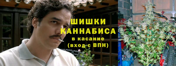 ГАЛЛЮЦИНОГЕННЫЕ ГРИБЫ Армянск