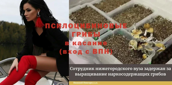 МДМА Арсеньев