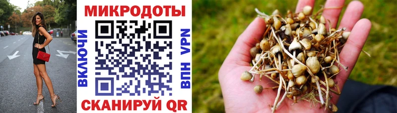 Галлюциногенные грибы ЛСД Орёл
